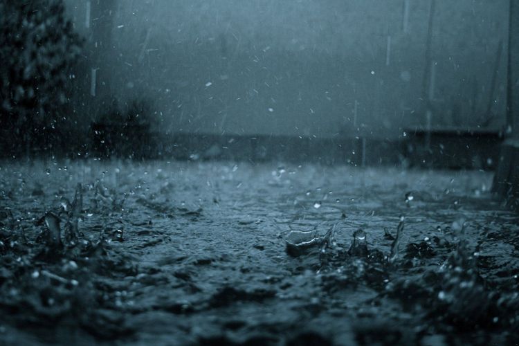 Perfect – Monsoon – Song